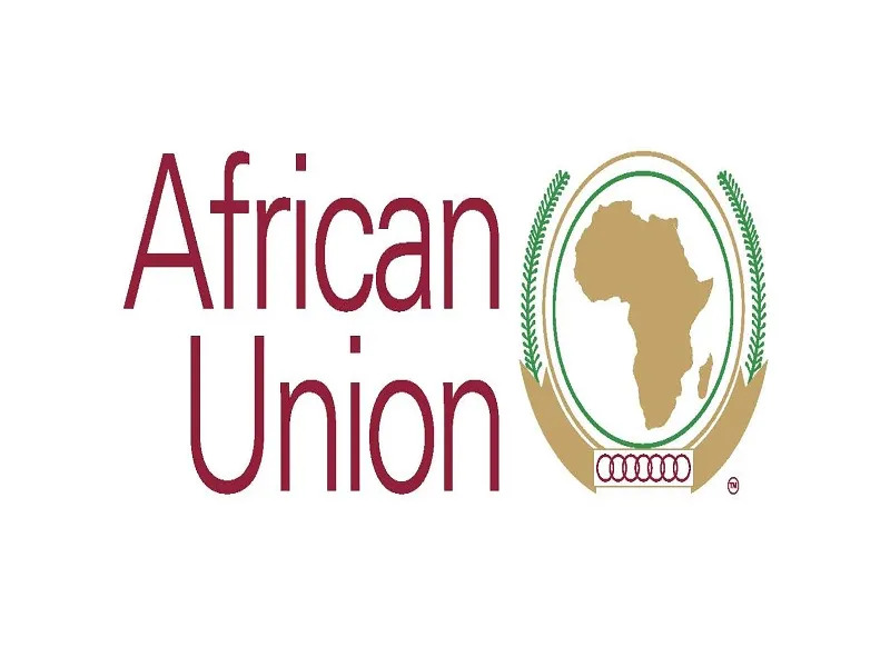 The Plot To Replace The African Union’s Role In The Ethiopian Peace ...